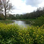 Bed & Breakfast De Pimpelmees 's-Gravenmoer
