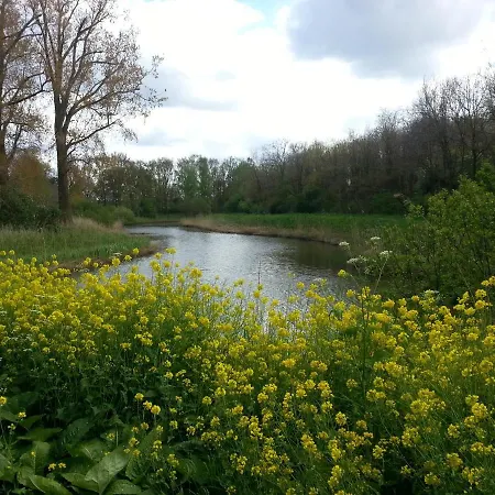 Bed & Breakfast De Pimpelmees 's-Gravenmoer