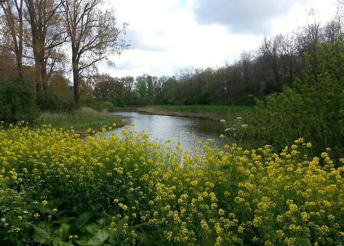 Bed & Breakfast De Pimpelmees 's-Gravenmoer