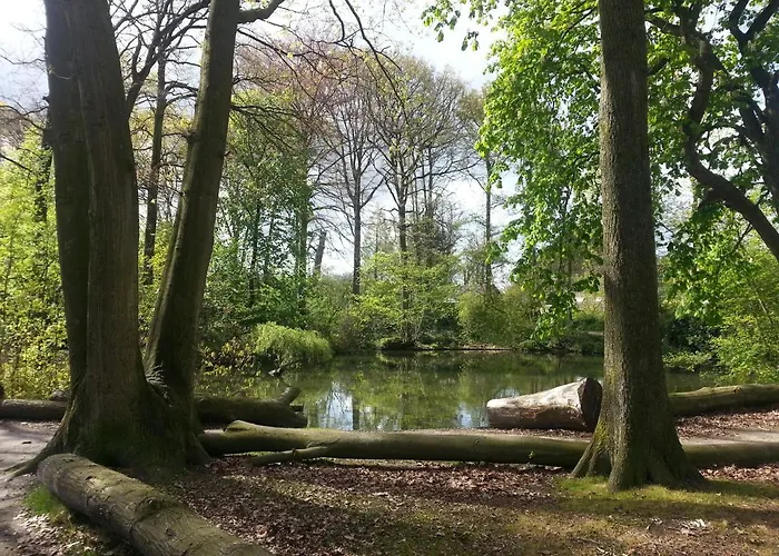 Couette-café De Pimpelmees 's-Gravenmoer