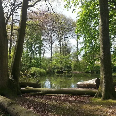 Bed & Breakfast De Pimpelmees 's-Gravenmoer