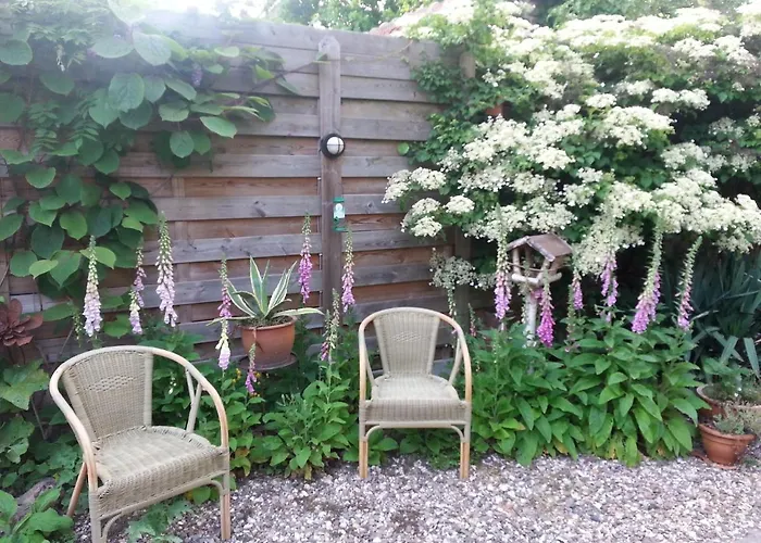 Couette-café De Pimpelmees